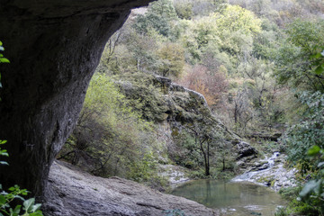 The delicate colors of autumn.  A look from the cave God's Bridge, Bulgaria