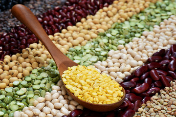 Mung bean on wooden spoon with multicolor bean background