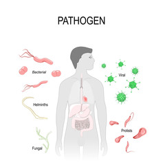 pathogens: virus, bacteria, fungus, helminths and Protists.