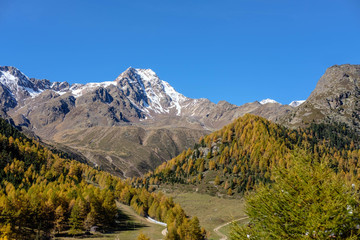 Naklejka premium Schnalstal bei Kurzras