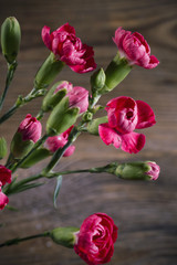Naklejka na ściany i meble Pink carnations on wooden background