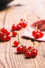 Red currant on wooden background