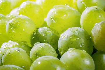 White grapes closeup