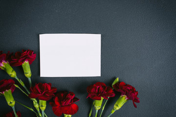 Carnations and blank card on dark background