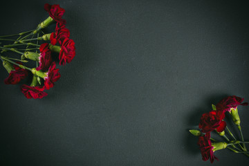 Red carnations frame on dark background with space for text
