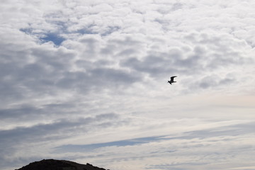 nubes