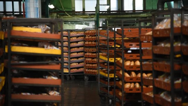 bread at the factory