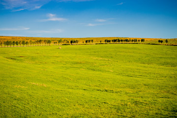 Campagne dans le Cantal