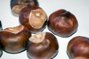 Fresh chestnuts on white background