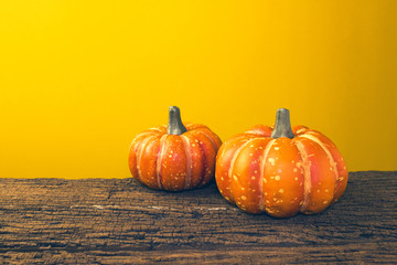 pumpkin halloween on grass ground with yellow background