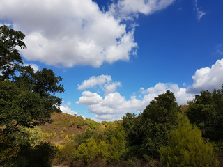 Obraz premium paesaggio