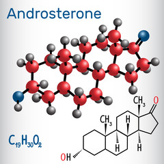 Androsterone (endogenous steroid hormone) - structural chemical formula and molecule model.