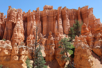 Rock Formation in Bryce Canyon National Park in Utah. USA