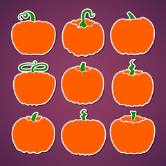 Set of various vector flat pumpkins. Isolated on purple background. Vector illustration.