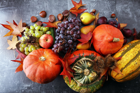Autumn harvest seasonal fruits and vegetables on grey background.