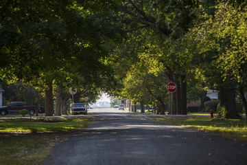 Fototapeta na wymiar Small town street shaded by trees