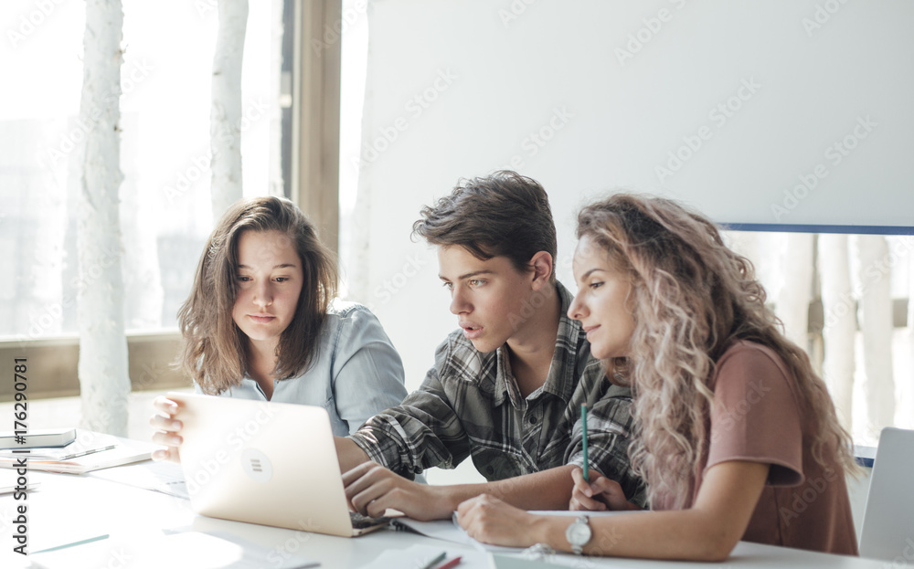 Wall mural high school students doing schoolwork together