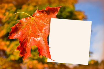 Place for recording (sticky note) near the maple leaf. Autumn theme