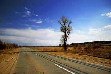 Fototapeta premium Road