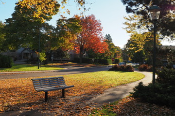 Fototapeta premium autumn in the park