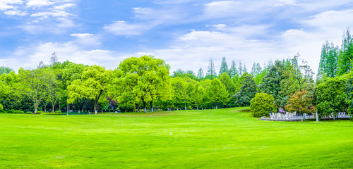 Obraz premium Park green trees