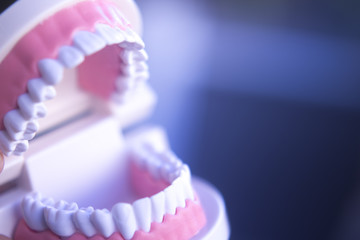 Fototapeta na wymiar Dentistry teaching tooth model