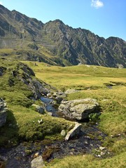 Fototapeta na wymiar Alpine water stream in a beautiful landscape 