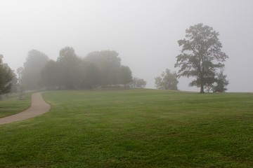 The foggy park landscape in the morning.