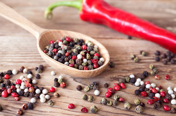 Fototapeta na wymiar Mix of peppercorns in wooden spoon on rustic background with red chili pepper. Red, black, green and white dry pepper in seeds.