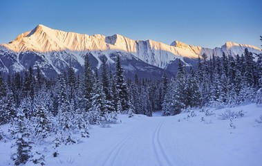 Winter Alpenglow reflected off distant snowy mountain tops in Kananaskis Country on a great skiing...