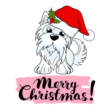 Cartoon character yorkshire terrier dog  in Christmas hat. Vector illustration for greeting card, poster, or print on clothes. Hand drawing, vector illustration isolated on background