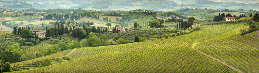 morning panorama in Tuscany valley in Italy