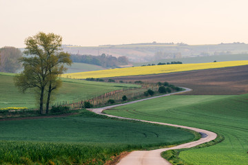 Fototapeta na wymiar Rural landscape with green fields, auto road and waves, South Moravia, Czech Republic