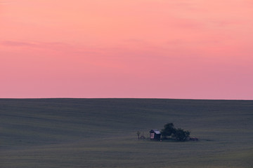 Green fields in the sunrise in South Moravia,Czech Republic. Waves hills with green grass, rolling fields. Beautiful spring landscape at sunrise. Agriculture. Colorful nature background. Green meadows