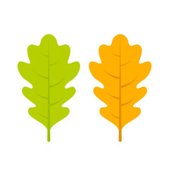 Fototapeta premium Yellow and green oak leaf vector icon