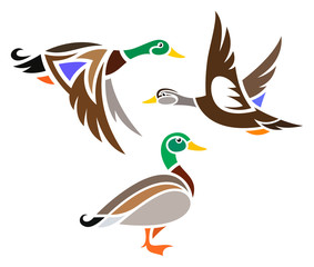 Stylized Birds - Ducks