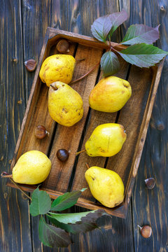 Yellow pears and chestnuts in an old box.