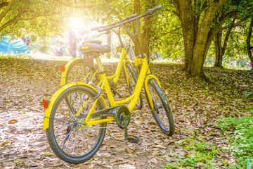 Fototapeta na wymiar Park parked bike