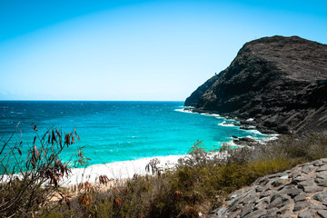 Makapuu Beach 