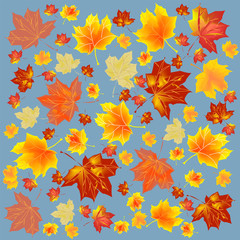 Fototapeta na wymiar Red and yellow autumn leaves on a blue background. Autumnal abstract background.