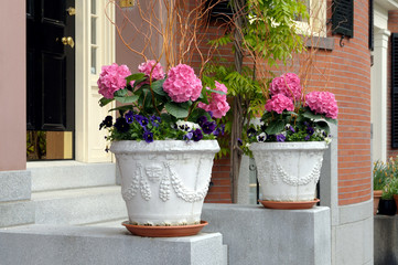 Elegant Planters Framing Door Entrance