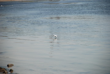 river