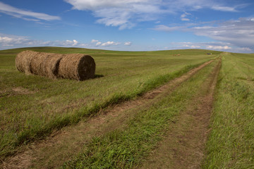 Country road disappearing into the distance. Steppes Of Khakassia. Russia.