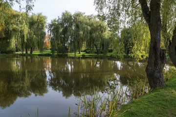 Fototapeta na wymiar View of a small lake and verdant trees at the Orunia Park. It's a public park in Gdansk, Poland.