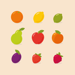 Set of fruits - orange, lemon, lime, pear, apple, apricot, plum, strawberry, raspberry