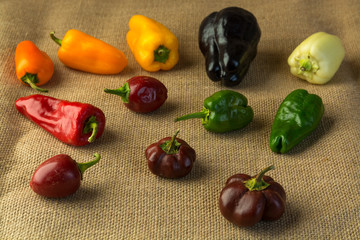 composition of diferent vegetables