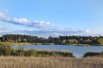 The big lake view in autumn from afar. Cold autumn day by the lake.