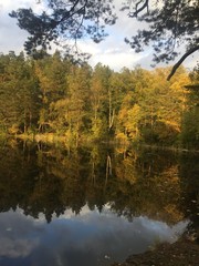 Fototapeta na wymiar Barnsjön. A smal lake outside Stockholm in Tyresö