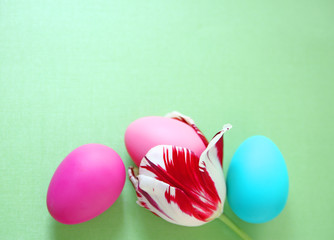 Three Easter eggs, one tucked inside a red and white tulip on a green background with room for copy