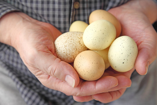 A man holds several speckled eggs in both hands